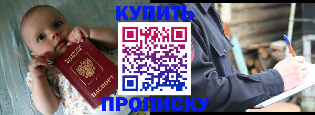 прописка поиск в Камышине