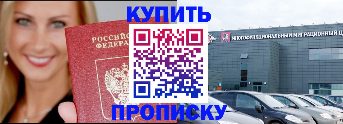 прописка поиск в Камышине